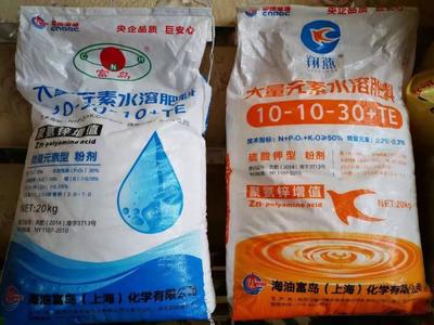 &ldquo;富岛翔燕中国化肥增值行动&rdquo;走进新疆增值肥料助力新疆农业发展
